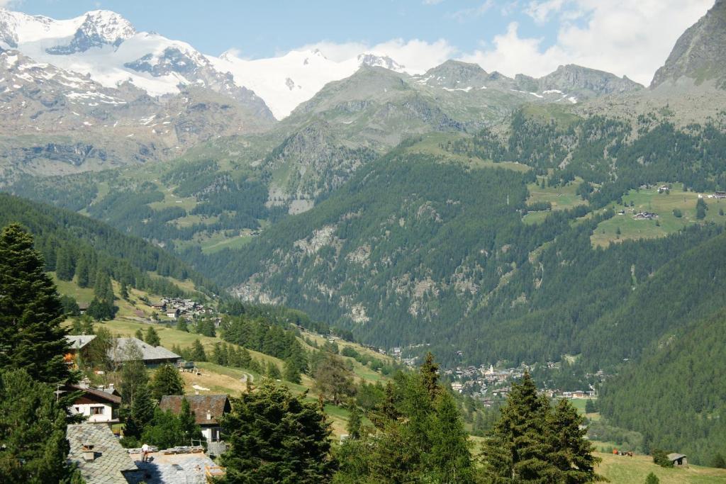 Hotel Le Petit Abri Champoluc Exterior photo